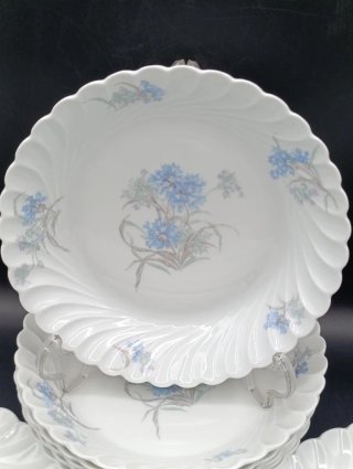 Set 6 servicios platos Haviland Limoges
