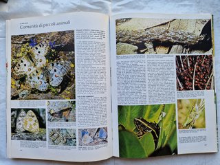 Il grande libro degli animali nel mondo