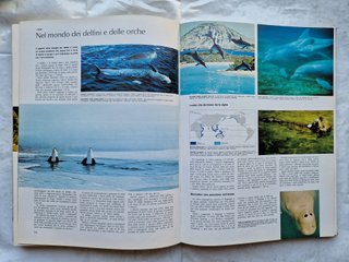Il grande libro degli animali nel mondo