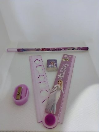 Astuccio Frozen