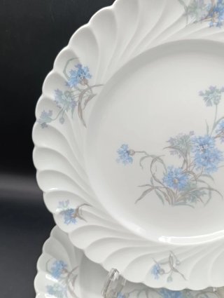 Set platos porcelana Haviland Limoges