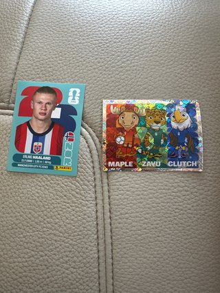 Carta Erling Haaland Panini Mundial y la FWC 3