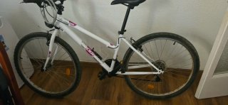 Bicicleta Rockrider Montaña Blanca