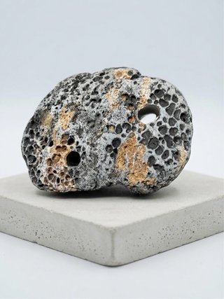 Piedra volcánica natural con almeja