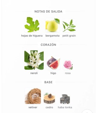 Guerlain Aqua Allegoria Nerolia Vetiver 5ml