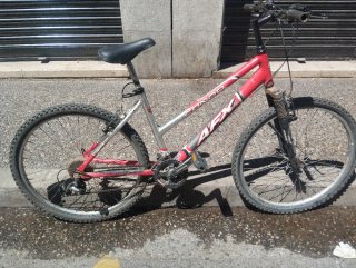 Bicicleta de montaña roja y plateada