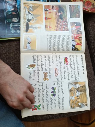 Album cromos La Llamada de los Gnomos Panini 1987