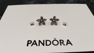 Pendientes de Pandora Flor Plata