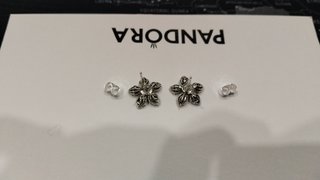 Pendientes de Pandora Flor Plata