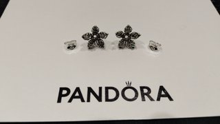 Pendientes de Pandora Flor Plata