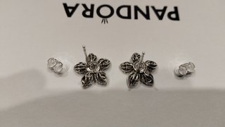 Pendientes de Pandora Flor Plata