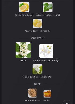 Neroli Lumiere Eau de Toilette Bastide 100ml