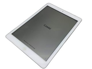 E1202626-0 IPAD APPLE IPAD AIR (WI-FI) (A1474) 16G