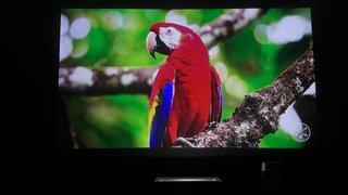 Proyector Láser LG HU715QW 4K
