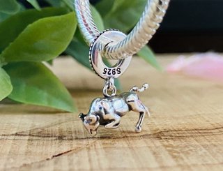 Charm Toro Bravo - Plata