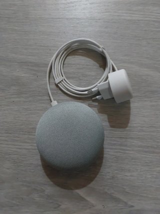 Google Nest Mini Gris