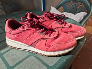 Zapatillas rojas Scotch and Soda