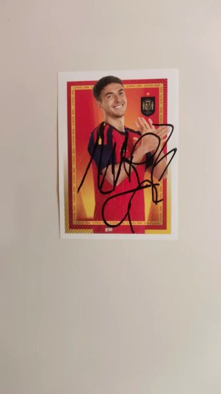 Cromos Selección Española Fútbol