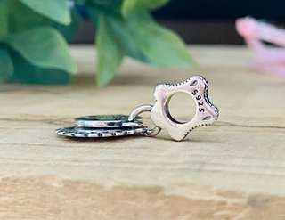 Charm Casa Slytherin Harry Potter - Plata