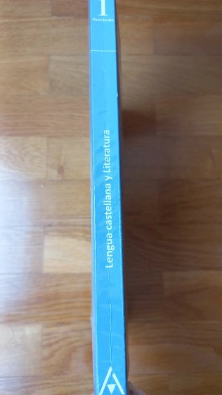Lengua castellana y literatura, 1 Bachillerato