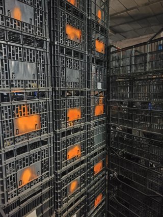 Cajones de plástico apilables 45+10