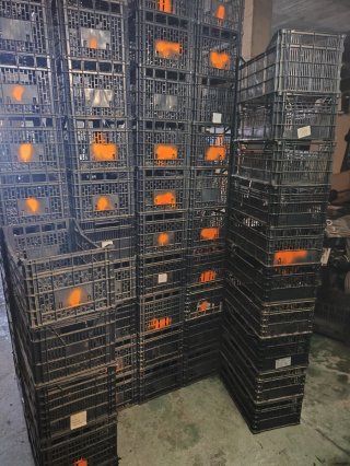 Cajones de plástico apilables 45+10