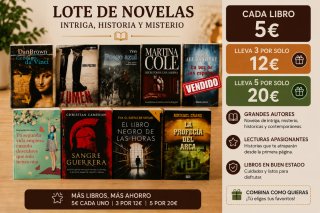 Lote de novelas de intriga, misterio e histórico