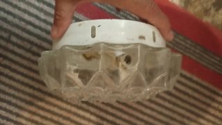 Plafon antiguo cristal labrado