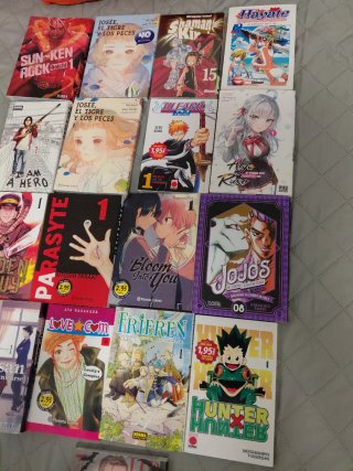 Colección de mangas