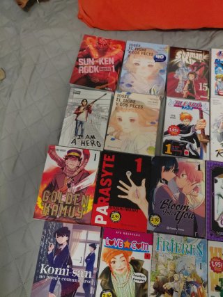 Colección de mangas