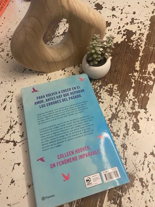 Novela No te olvidaré, de Coolen Hoover