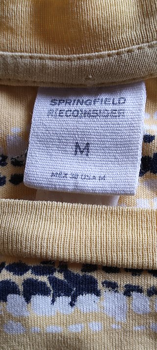 Camiseta de Springfield