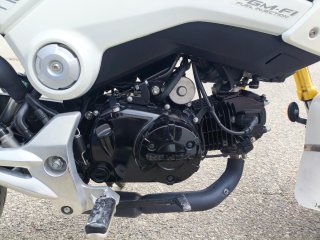 Honda MSX 125 Naked Blanca