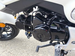 Honda MSX 125 Naked Blanca