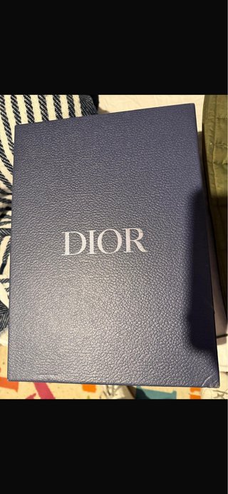 Dior B22