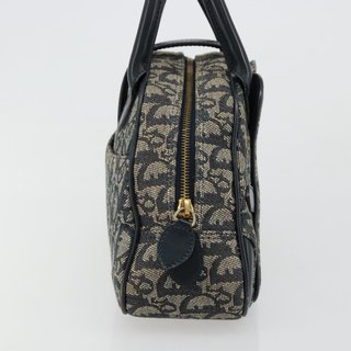 Christian Dior Trotter Canvas Double Saddle