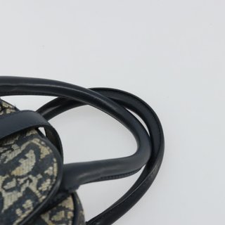 Christian Dior Trotter Canvas Double Saddle