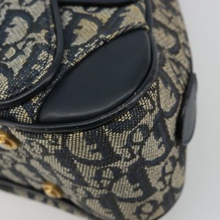 Christian Dior Trotter Canvas Double Saddle