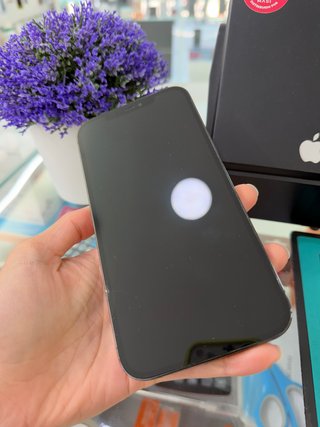 Apple IPHONE 12 PRO MAX 128gb