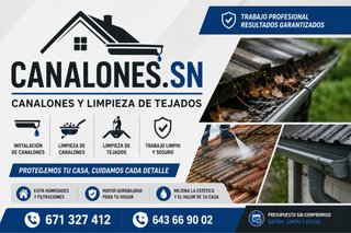 Linpieza de tejados y instalacion de canalones
