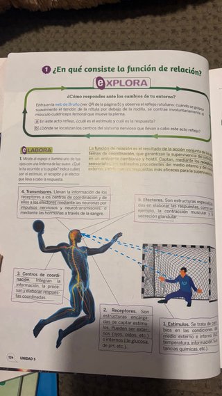 pack 3 libros Biología y geología, 3 ESO