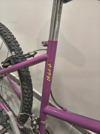 Bicicleta Mujer Morada con Marchas