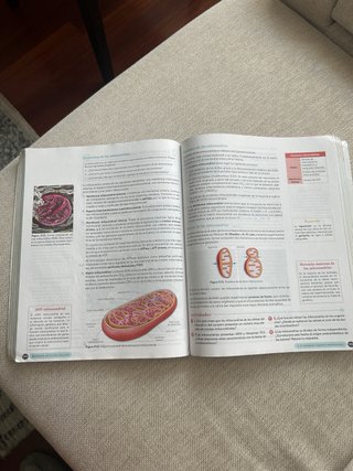 Biología 2º Bachillerato. Libro del estudiante....