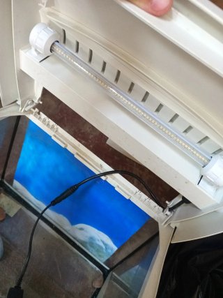 Acuario Tetra 30L con piedras con luz y led