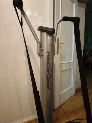 Plataforma Vibratoria Pro-Form Wellness