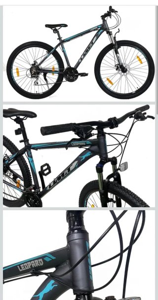 Bicicleta LEOPARD 29 Gris y Azul