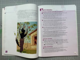 Lecturas, 5 Primaria tercer ciclo Tico-Tic
