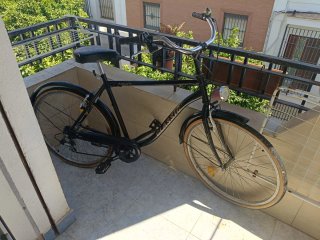 Bicicleta Clásica AMAT Paseo