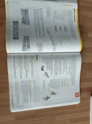 Lengua castellana y Literatura