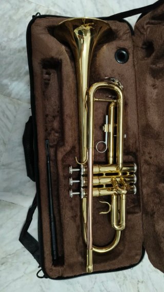 Trompeta Eastrock Sib - Estuche Incluido